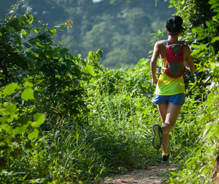 A person jogging in a forest